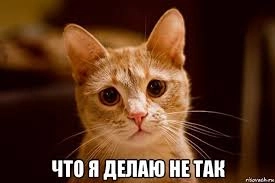 &laquo;Ночной бухгалтер&raquo;. У ИП&ndash;должников проблемы с ЕНС