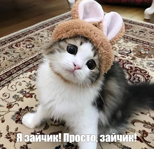 «Ночной бухгалтер». ФНС не принимает уведомления на 15% НДФЛ, а Минфин готовит новый ФСБУ (да, опять) «Ночной бухгалтер». ФНС не принимает уведомления на 15% НДФЛ, а Минфин готовит новый ФСБУ (да, опять)
