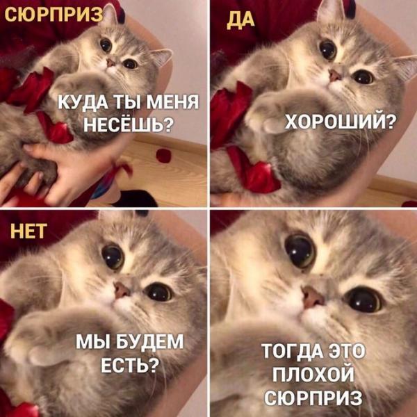 Задним числом изменили правила уменьшения налогов на взносы для УСН и ПСН, взносы ИП в 1% за 2023 списывают раньше срока. 😱«Ночной бухгалтер» № 1489 Задним числом изменили правила уменьшения налогов на взносы для УСН и ПСН, взносы ИП в 1% за 2023 списывают раньше срока. 😱«Ночной бухгалтер» № 1489