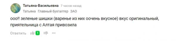 Бизнес-счета Бони и Бородиной под блокировкой, ФНС поломала собственный сервис, в РФ теперь три формы валюты. 🎡«Ночной бухгалтер» № 1484 Бизнес-счета Бони и Бородиной под блокировкой, ФНС поломала собственный сервис, в РФ теперь три формы валюты. 🎡«Ночной бухгалтер» № 1484