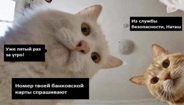 Налоговая разрешила уменьшать налог по УСН и ПСН в 2023 году на взносы 1%, самозапрет на выдачу кредитов, россияне хотят МРОТ — 44 200 ₽. 👀«Ночной бухгалтер» № 1510 Налоговая разрешила уменьшать налог по УСН и ПСН в 2023 году на взносы 1%, самозапрет на выдачу кредитов, россияне хотят МРОТ — 44 200 ₽. 👀«Ночной бухгалтер» № 1510