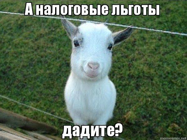 ИП не сможет резервировать взносы, пока не заплатит налог на имущество, лайфаки по платежам на ЕНС, будет новая категория бизнеса - МСП+. 🙄«Ночной бухгалтер» № 1539 ИП не сможет резервировать взносы, пока не заплатит налог на имущество, лайфаки по платежам на ЕНС, будет новая категория бизнеса - МСП+. 🙄«Ночной бухгалтер» № 1539