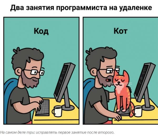 Сборник шуток о бухгалтерах, программистах и 1С